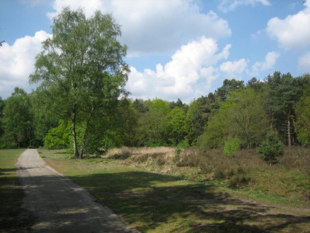 En nog meer groen in de achtertuin van het Herdersveld
